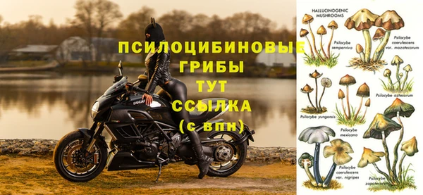 тгк Балахна
