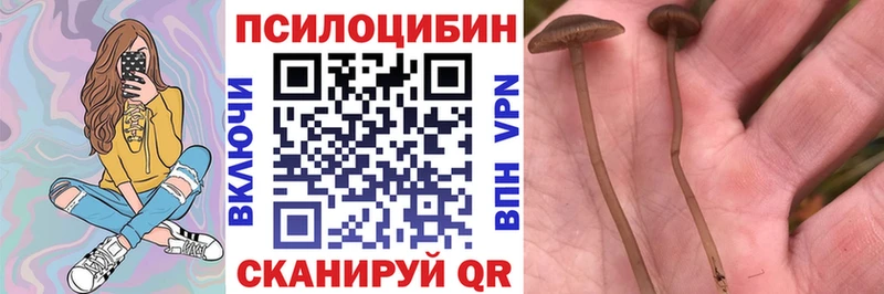 Псилоцибиновые грибы мухоморы  Купить закладки  Лесной 
